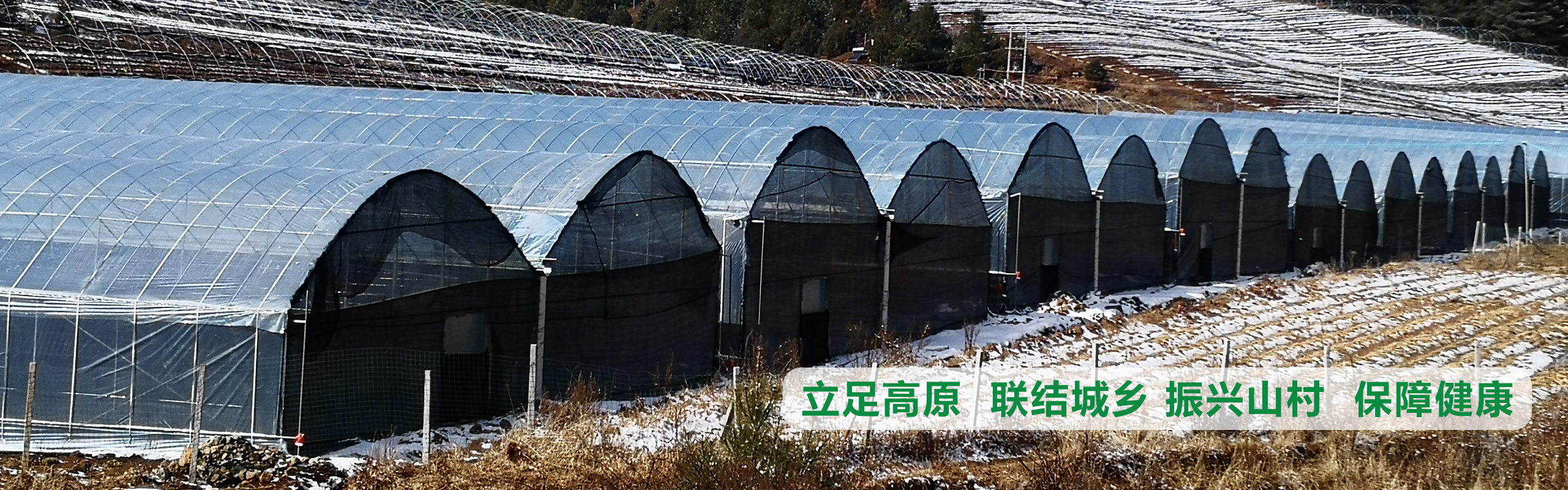 立足高原、聯(lián)結(jié)城鄉(xiāng)、振興山村、保障健康